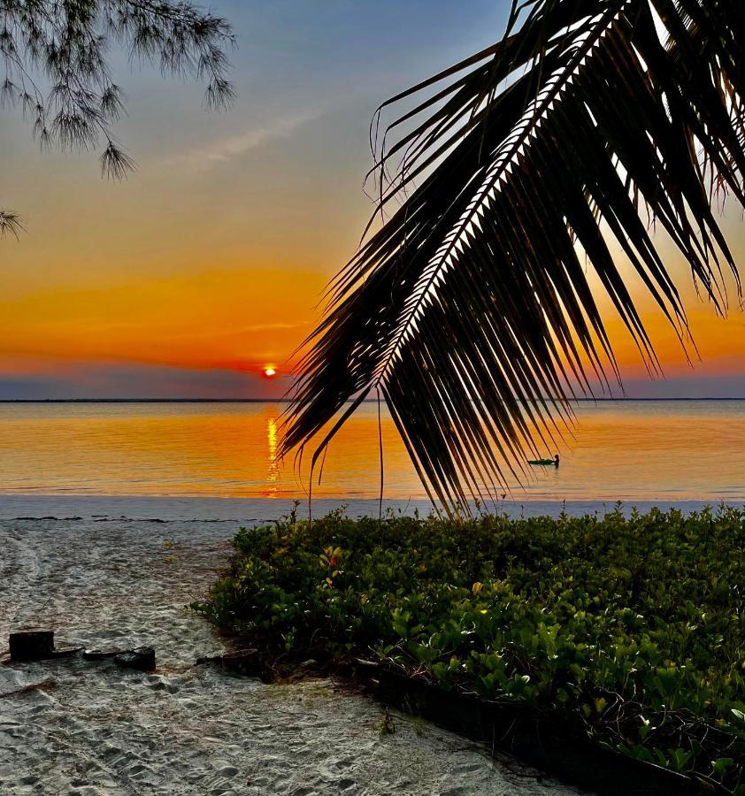 Milele Lodge Michamvi Kae ภายนอก รูปภาพ